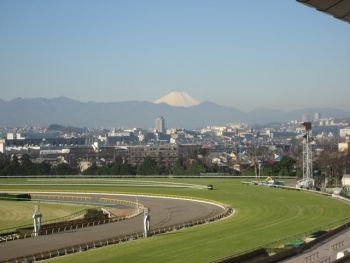 フジビュースタンドから富士山を拝む