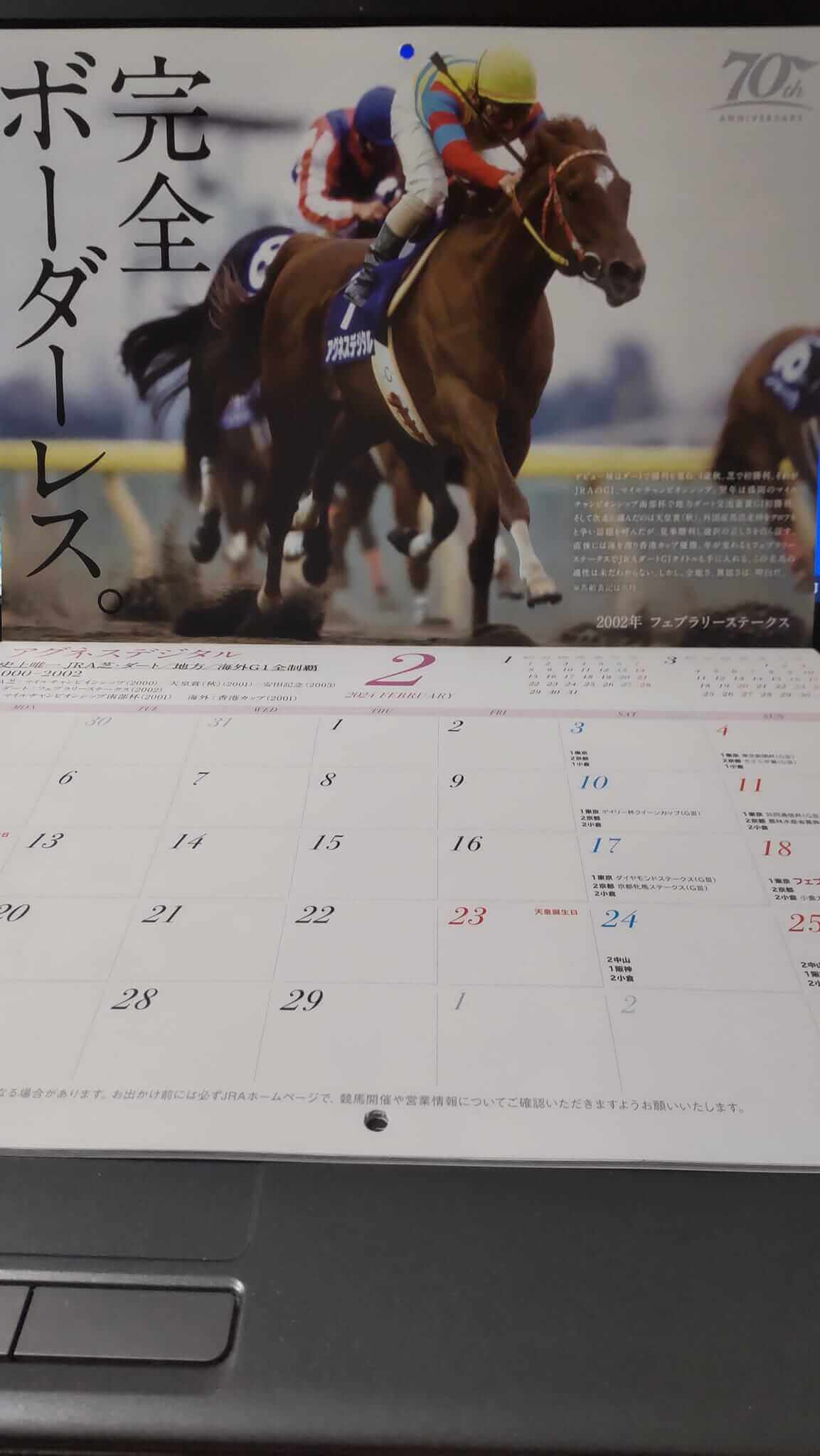 JRAオリジナルカレンダー２月の表紙　アグネスデジタル